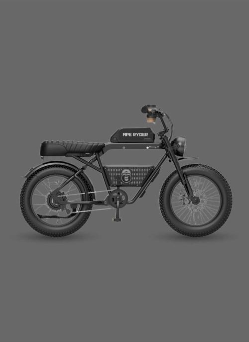 - Bonobo Premium Elektrikli Bisiklet
