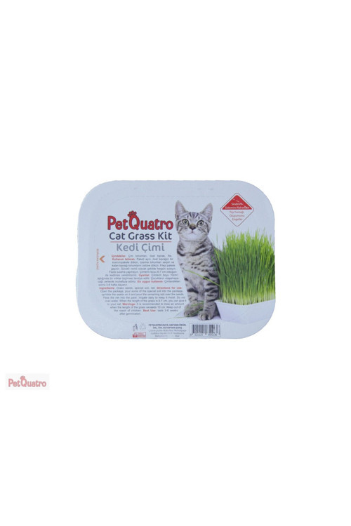Pet Quatro Kedi Çimi