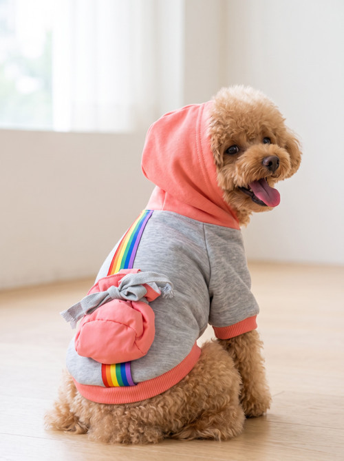 Rainbow Köpek Sweatshirt | Kapüşonlu Gökkuşağı Detaylı Köpek Kıyafeti | Köpek Hoodie