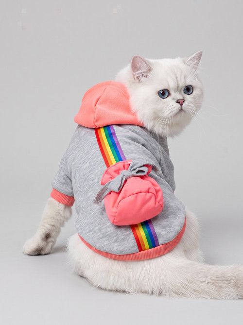 Rainbow Kedi Sweatshirt | Kapüşonlu Gökkuşağı Detaylı Kedi Kıyafeti | Kedi Hoodie