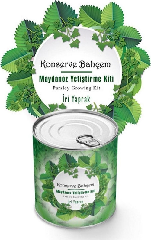 Evde Konservede İri Maydanoz Yetiştirme Kiti (2818)