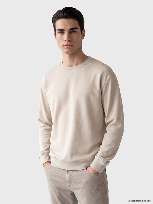 LC WAIKIKI Gri Bisiklet Yaka Erkek Sweatshirt