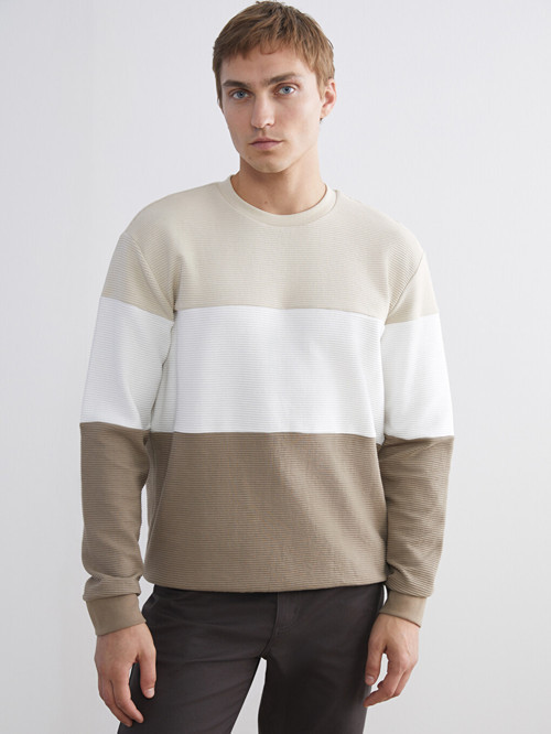 LCW Vision Bej Bisiklet Yaka Renk Bloklu Erkek Sweatshirt
