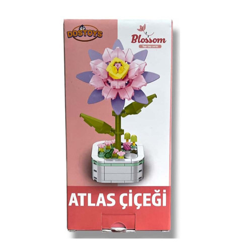 103-C 5 Blok Çiçek Atlas Çiçeği