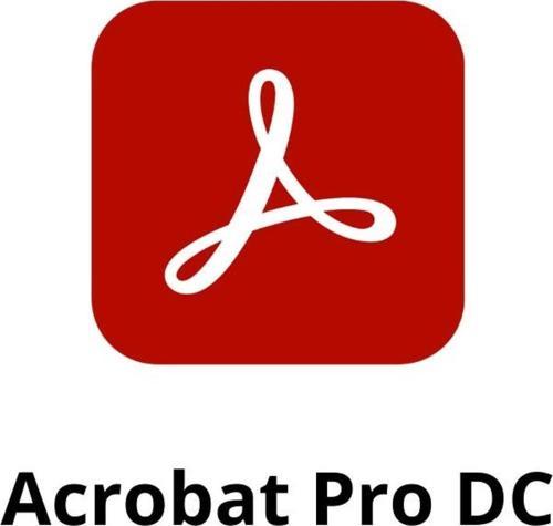 Acrobat Pro DC 65324108BA01A12 Yenileme Lisansı