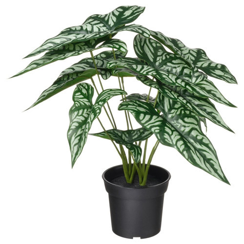 Yapay Bitki, Yeşil, 15 cm, Cercestis Mirabilis, İç/Dış Mekan