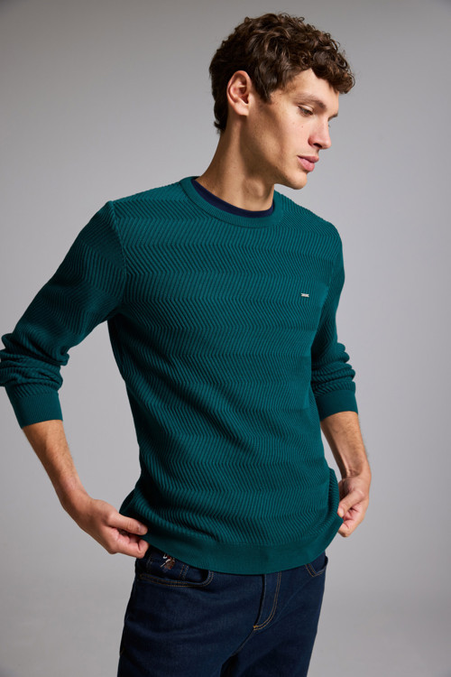 Erkek Yeşil Bisiklet Yaka Regular Fit Kazak 50328918-VR060