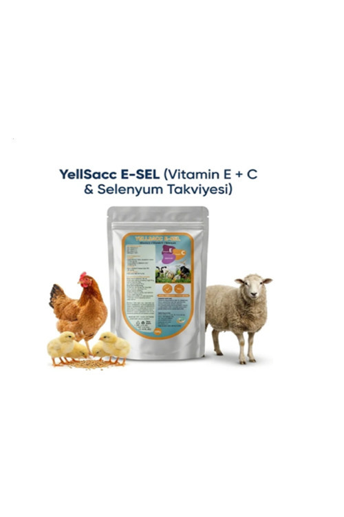 Kuş Ve Kanatlılar İçin Vitamin Takviyesi –Yılsac E-Sel+ C 100 Gr X 1 Adet
