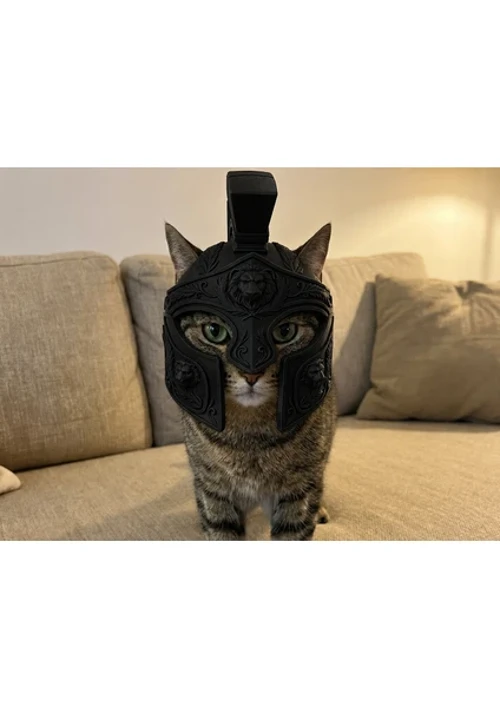 Roma Centurion Kedi Miğferi