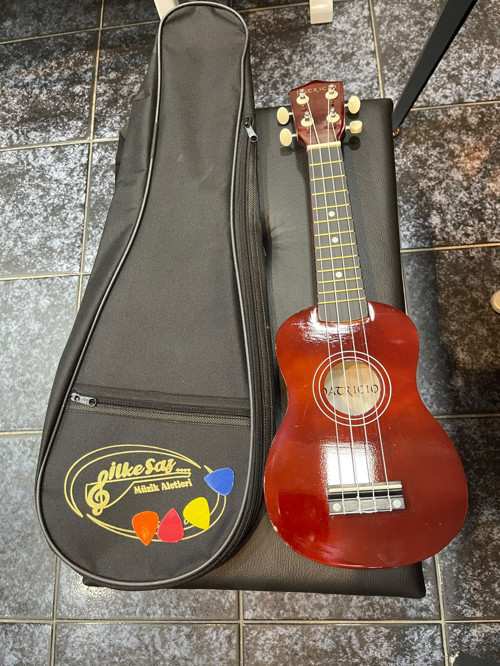 SOPRANO UKULELE KILIF PENA HEDİYELİ