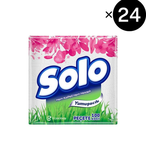Peçete 100'lü x24 (100*24)