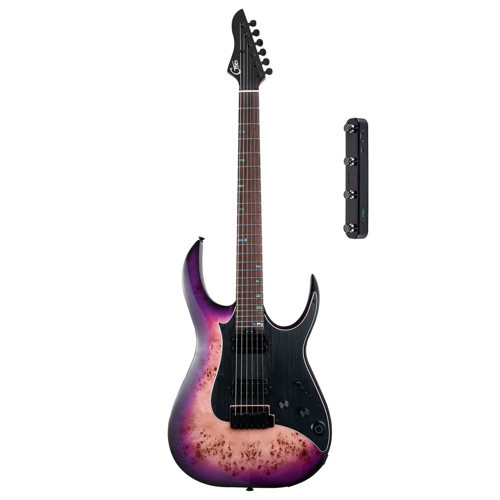 M810 (PRB) Elektro Gitar