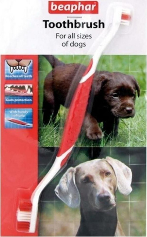 İki Uçlu Köpek Diş Fırçası