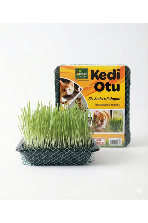 Kedi Çimi - Kedi Sindirim Sistemini Rahatlatıcı Sağlıklı Kedi Otu