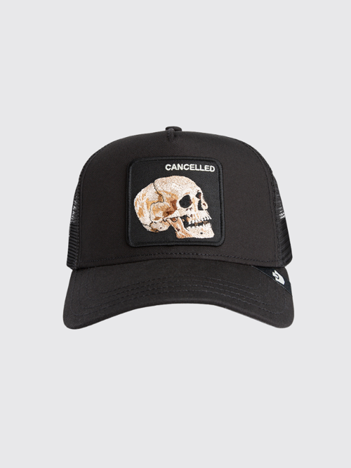 - The Cancelled Skull 101-2392