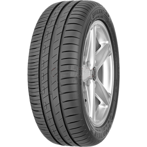 205/55R16 91V EfficientGrip Performance EGEA (3 Kanal) Oto Yaz Lastiği (Üretim Yılı:2025)