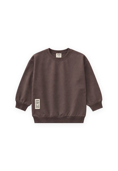 Etiket Detaylı İnce Mevsimlik Sweatshirt 2-10 Yaş Kahverengi