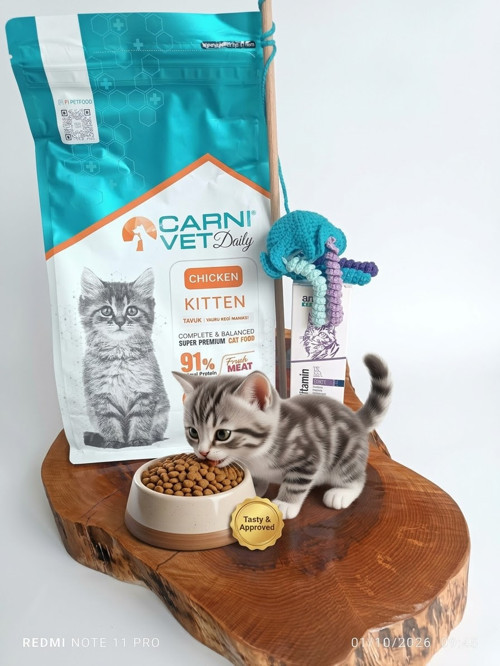 DAİLY yavru kedi maması 1.5 kg yanında gelişimi için multivitamin ve oyuncak