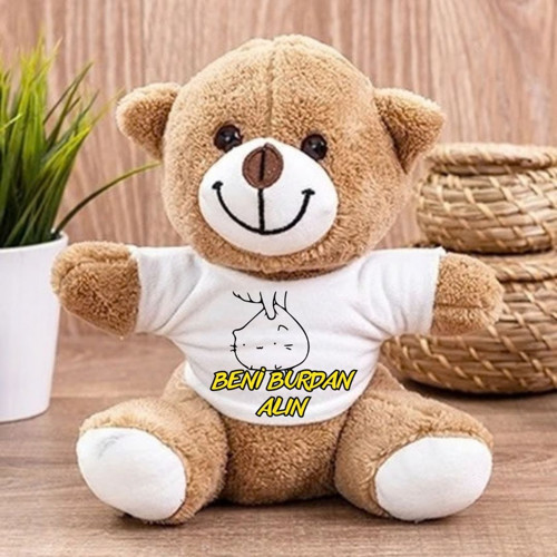 Arkadaşa Esprili Hediye Karikatür Tasarımlı Peluş Oyuncak Ayı