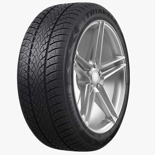 205/50R17 93V XL TW401 Oto Kış Lastiği (Üretim Yılı:2024)