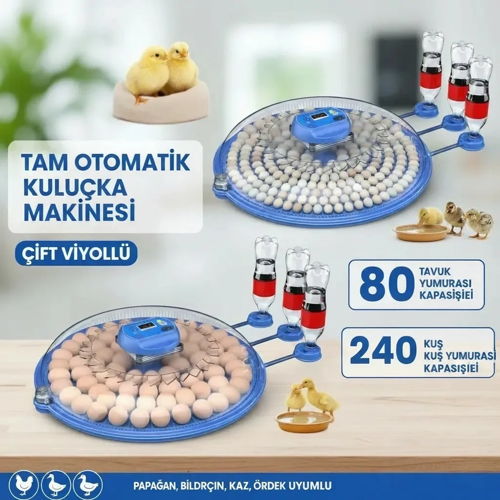 80 240 Kapasiteli Fonksiyonel Tam Otomatik Kuluçka Papağan Kuş Tavuk Kaz Ördek