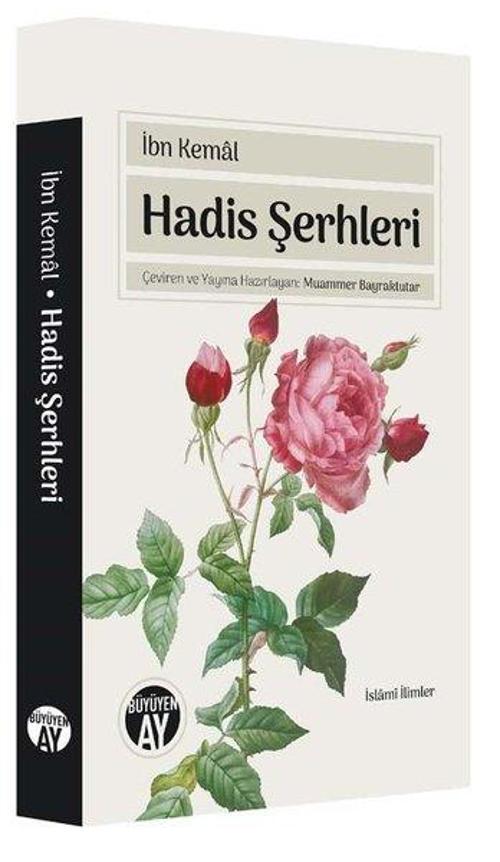 Hadis Şerhleri