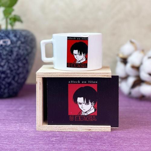 Levi Attack On Titan Tasarımlı Kutulu Kupa