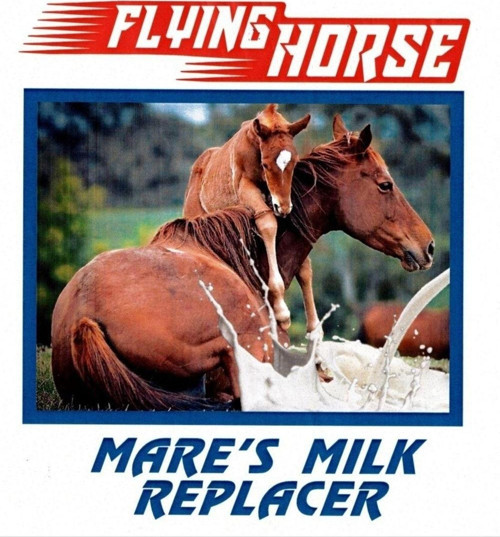 Mare s Milk Replacer 5 Kg