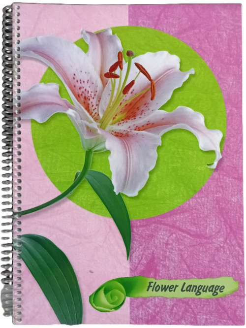 art A4 Spiralli Karton Kapak 120 Yaprak Çizgili Defter