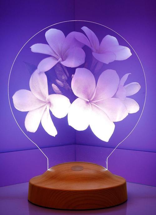 Çiçek Figürlü, Plumeria Çiçeği Hediyesi 3d Led Lamba, Gece Lambası