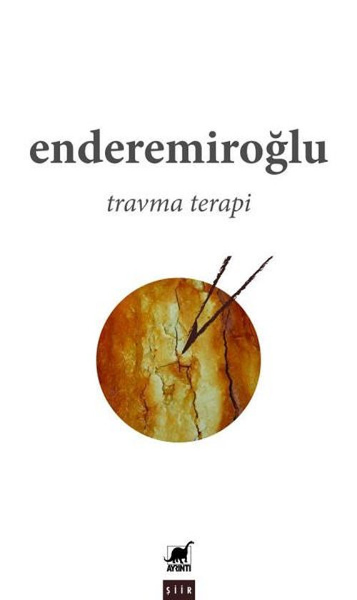 Ayrıntı Yayınları Travma Terapi