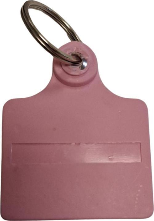 Atlar İçin Küpelik  (Dişi Atlar)