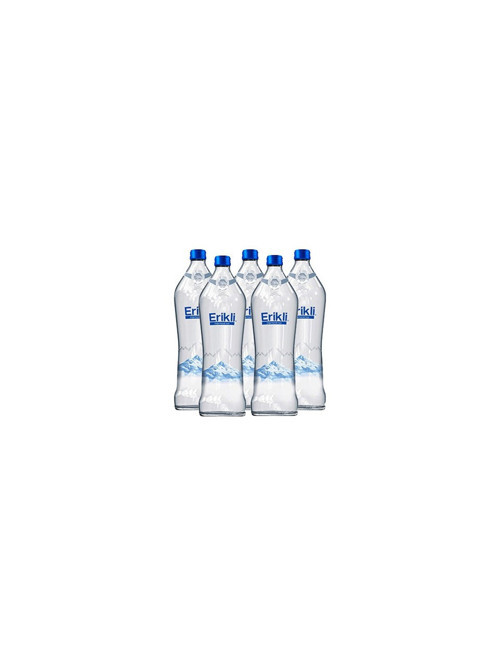 Cam Şişe 0.33 ml 12'li