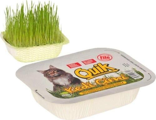 Doğal Kedi Çimi Fileli 1 Adet