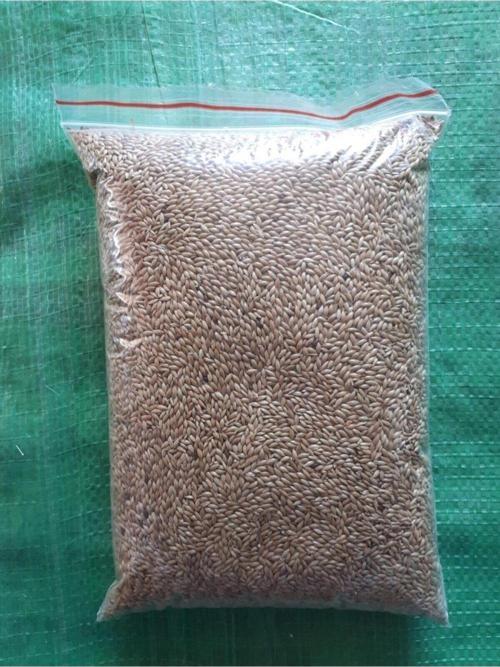 Kanarya Kuş Yemi Sade Aspur 1 Kg