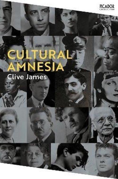 Picador Cultural Amnesia: Notes in the Margin of My Time ( Collection 16)