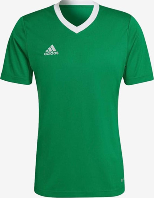 Entrada 22 Jersey ADHI2123 Yeşil Erkek Forma