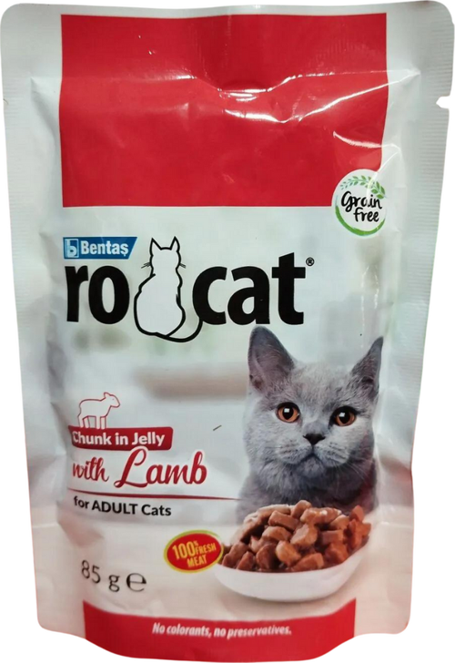 Cat lamp adult cats