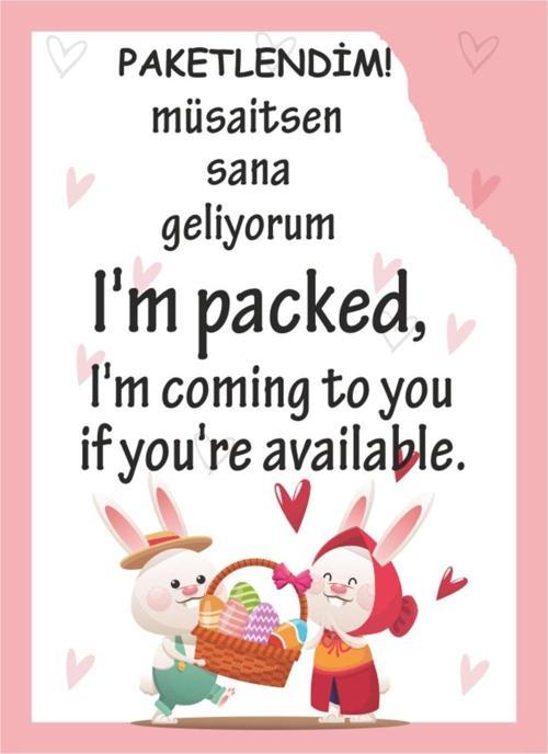 Paketlendim Müsaitsen Sana Geliyorum-Türkçe-İngilizce 5,2 x 8,2 cm 100 Adet