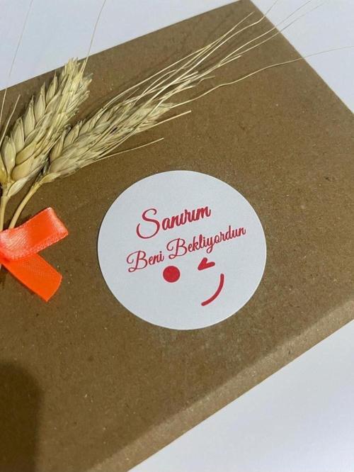 Sanırım Beni Bekliyordun Yuvarlak Yapışkanlı Etiket 4 x 4 cm 120 Adet