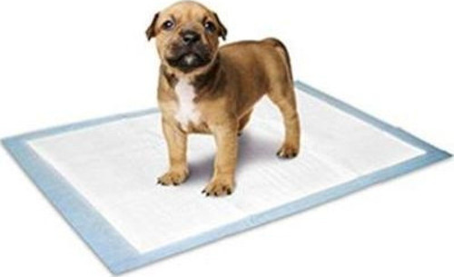 Yavru Köpek Çiş Eğitim Pedi Medium 10 Adet 60x40 Cm