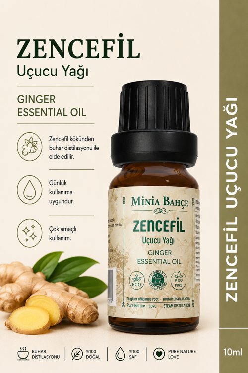 Zencefil Uçucu Yağı – 10 ml | Saf ve Katkısız Bitkisel Uçucu Yağ