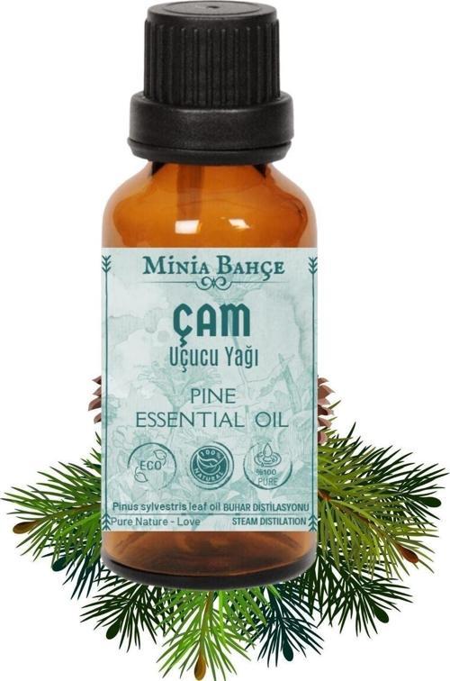 Çam Ağacı Uçucu Yağı, %100 Saf, 10 Ml