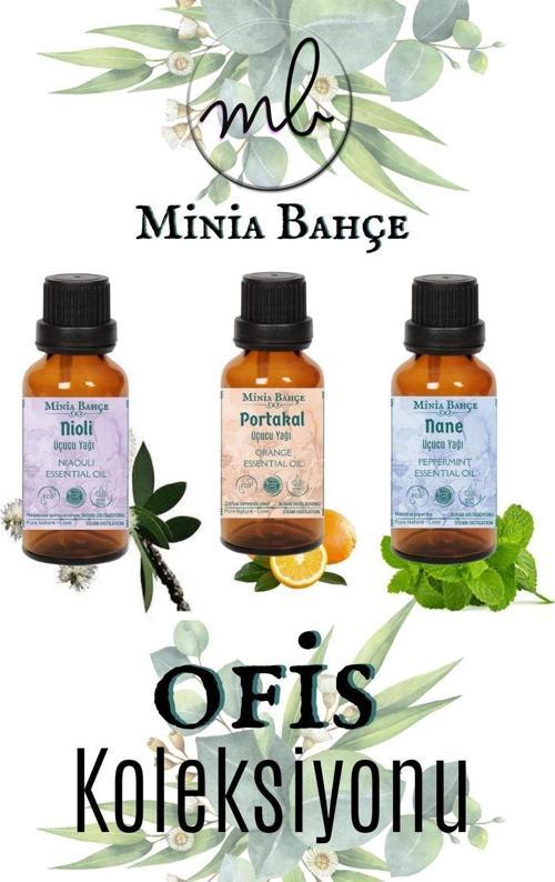Nioli Uçucu Yağı 10ml, Portakal Uçucu Yağı 10ml, Nane Uçucu Yağı 10ml, %100 Pure