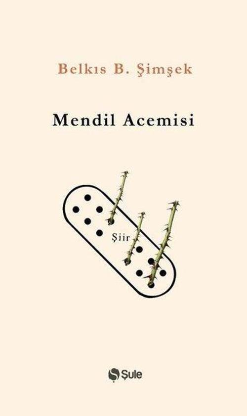 Şule Yayınları Mendil Acemisi