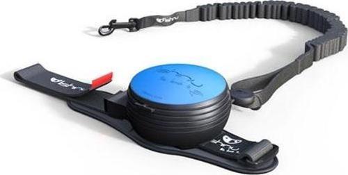 Lishinu Mavi Bungee Akıllı Kontrol Köpek Gezdirme Tasması Large 13-40 Kg