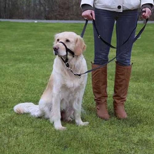 Uzman Köpek Eğitim Tasması XL Kısa 40 Cm