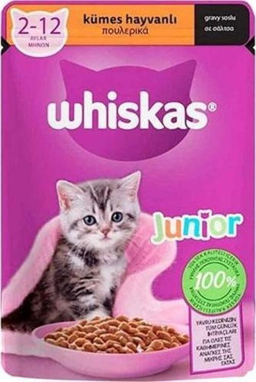 Pouch Sos İçinde Kümes Hayvanlı Yavru Kedi Konservesi 12 Adet 85 Gr