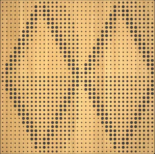 Petra (marron) - Absorber (8 Adet 60 X 60 Cm)