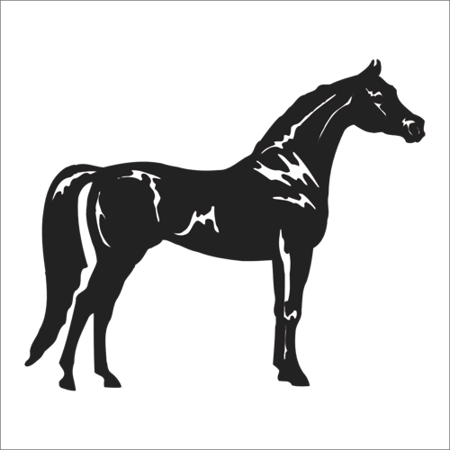 AT FOLYO STİCKER 60cm Uzunluk